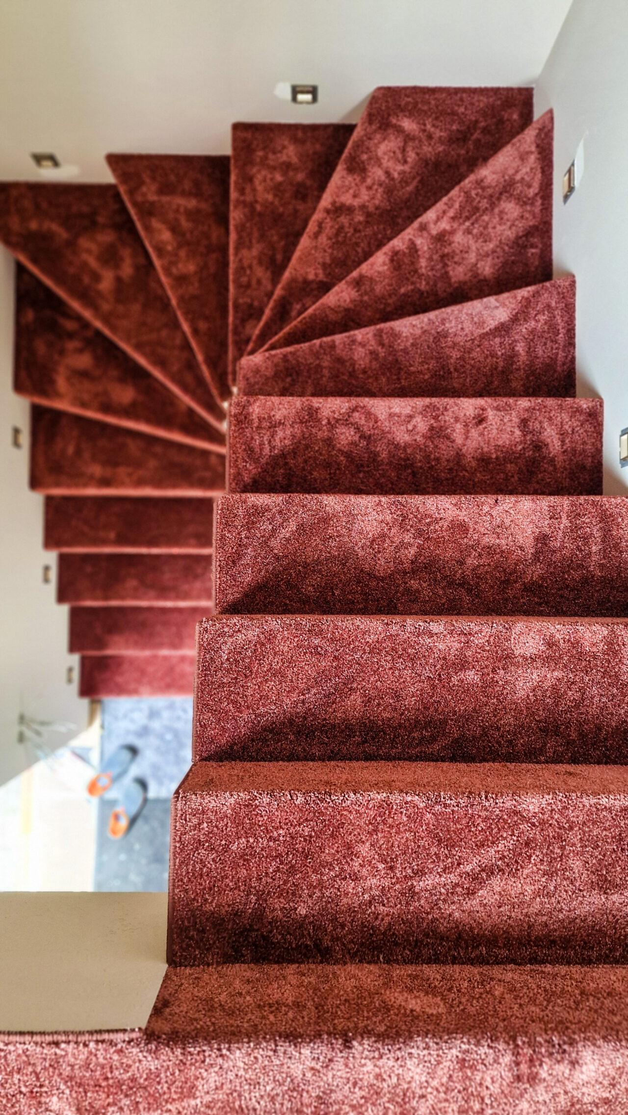 Raudonu kilimu dengti laiptai 2 nuotrauka