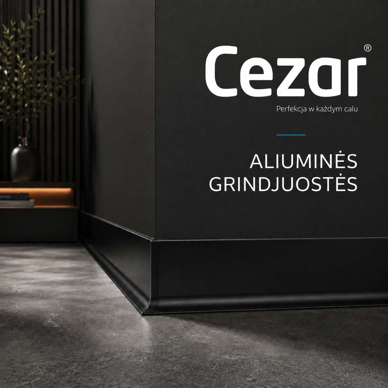 Aliuminės grindjuostės Cezar