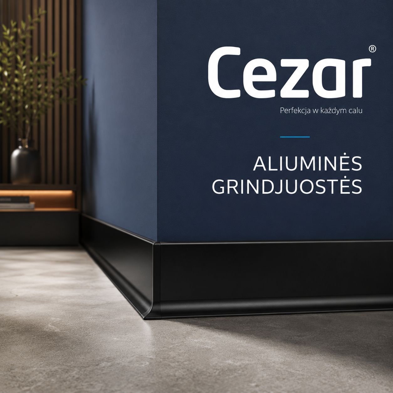 Aliuminės grindjuostės iš Cezar
