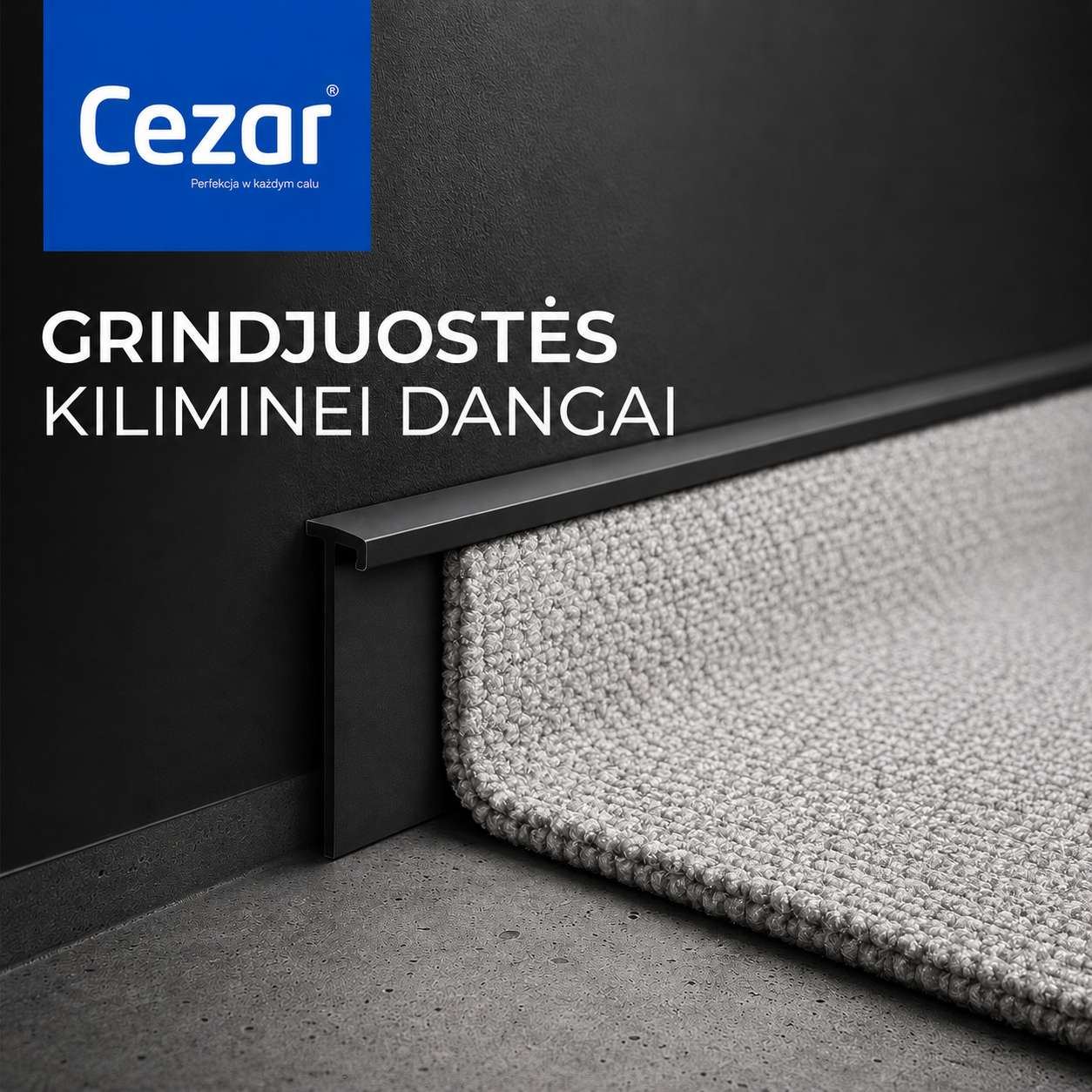 Grindjuostės kiliminei dangai Cezar